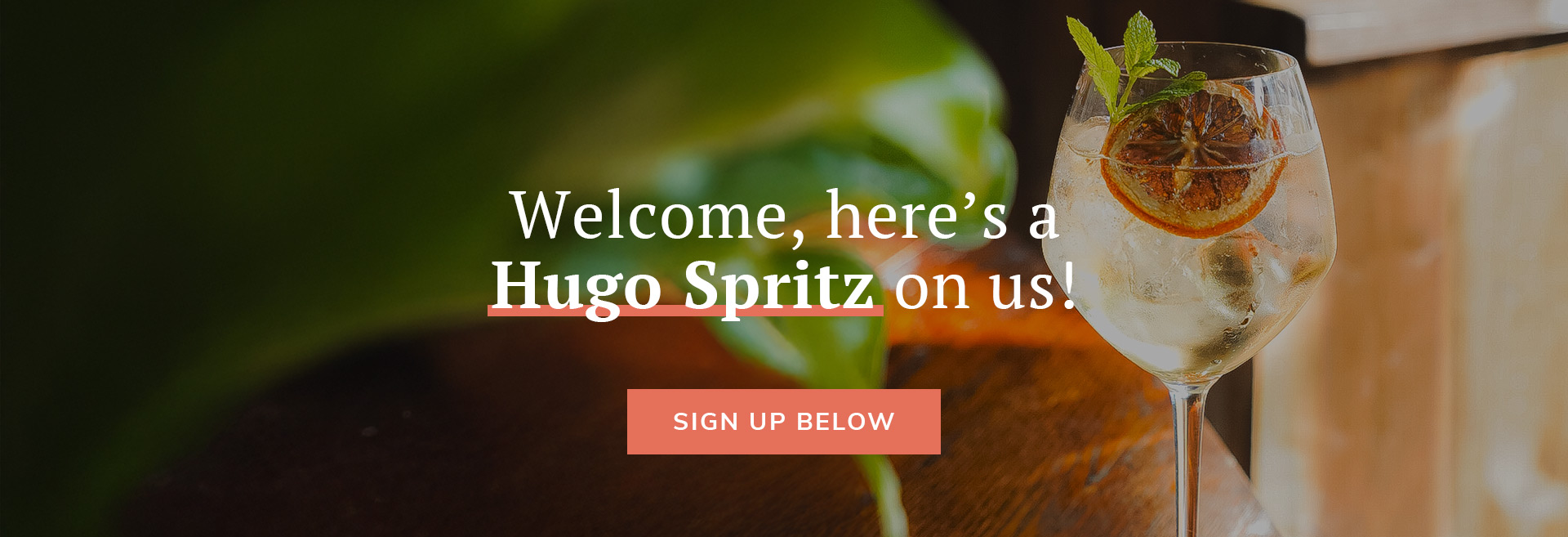 Sign up to the newsletter at The Sun